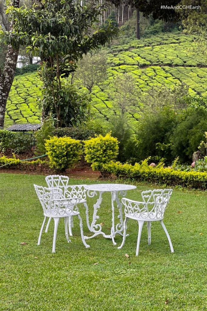 Tea Estate Afternoon